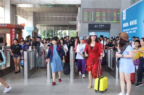 ?？谖鍌€臨時旅游服務臺高效運作，累計服務近7萬人次彰顯旅游服務新高度